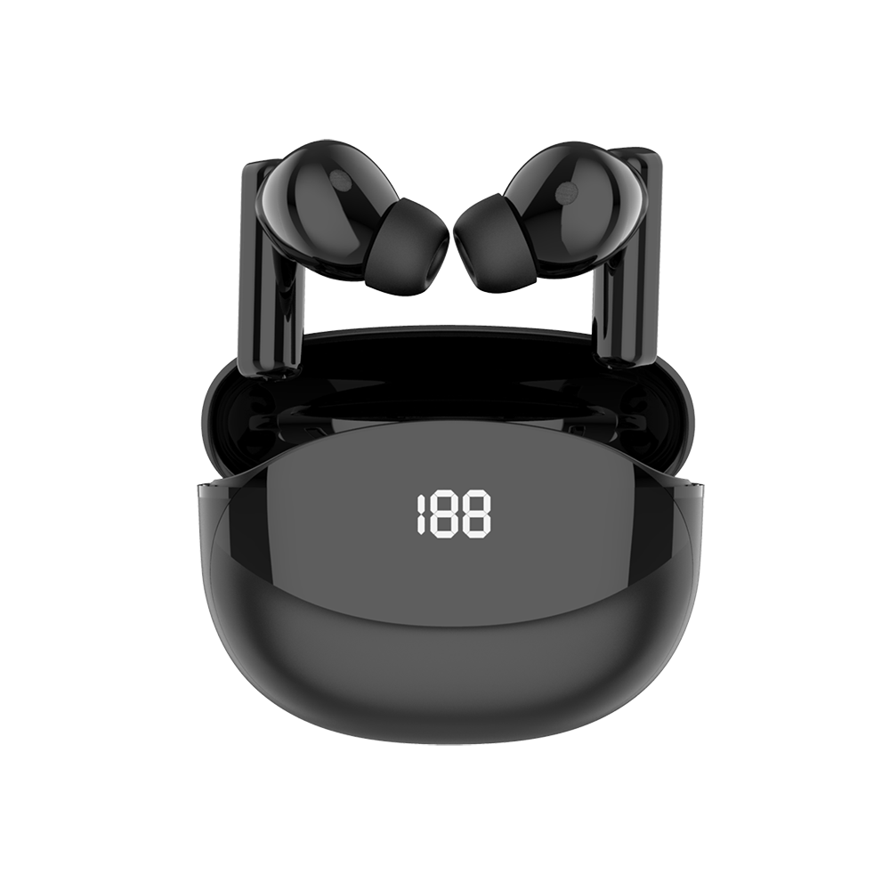 HAOMUK-BT1081