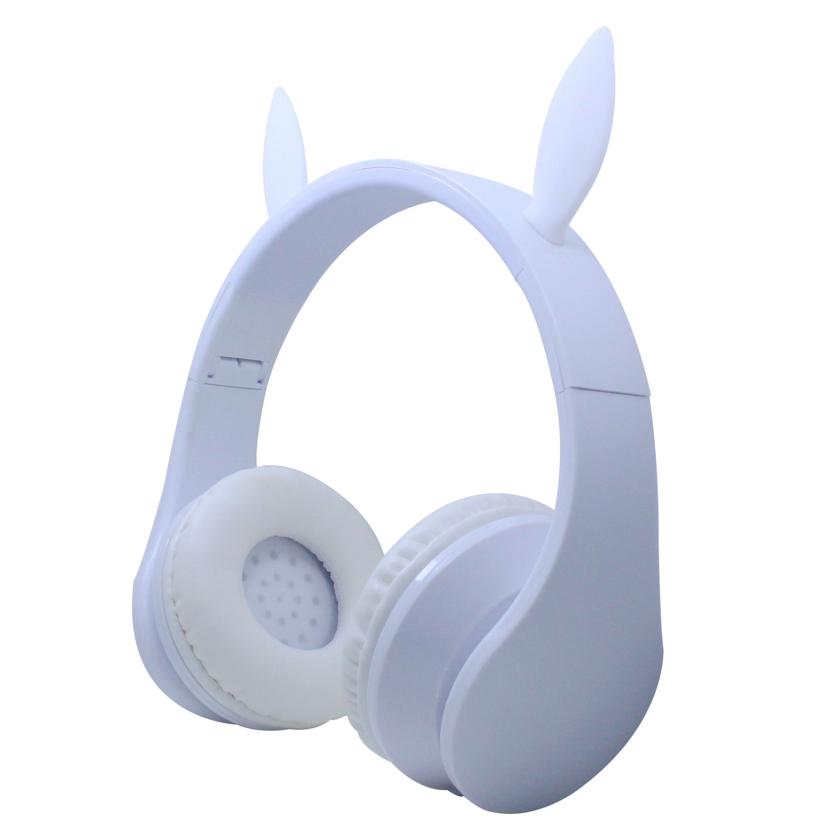 HAOMUK-D5024-2 Wired Headphones